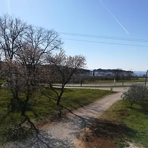 Guesthouse Porec Affittacamere Porec
